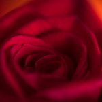 翔虹娱乐的未来展望:在竞争激烈的市场中脱颖而出 7cs74big94