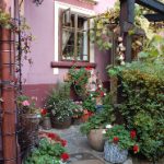 老虎机店的历史与发展:从传统到现代的演变 9bzx57p